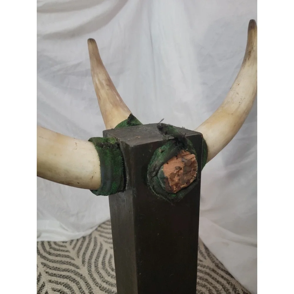 Vintage Bull Horns‎ Display Mount | Large Rustic Western Decor 🤠